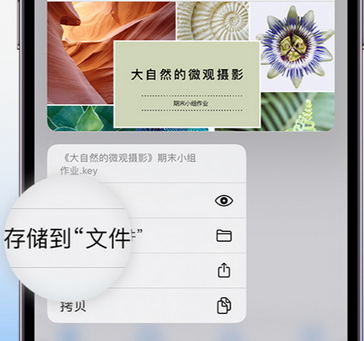 淮南apple维修中心分享iPhone文件应用中存储和找到下载文件