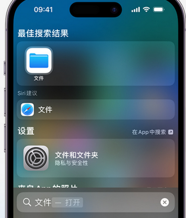 淮南apple维修中心分享iPhone文件应用中存储和找到下载文件