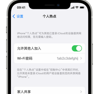 淮南apple服务站点分享iPhone上个人热点丢失了怎么办 