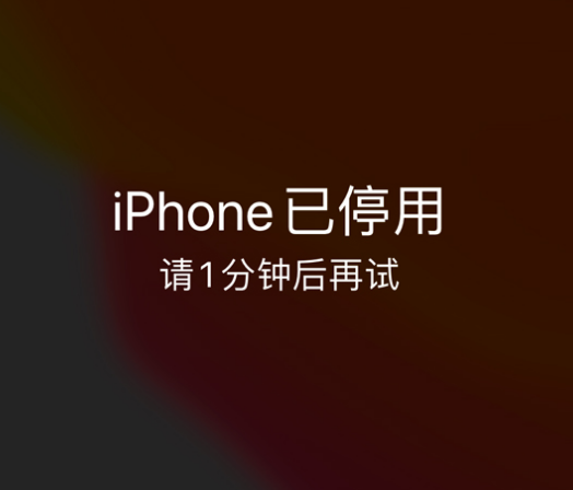 淮南苹果手机维修分享:iPhone 显示“不可用”或“已停用”怎么办？还能保留数据吗？ 