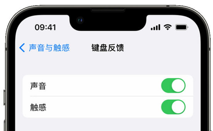 淮南苹果手机维修分享iPhone 14触感键盘使用方法 