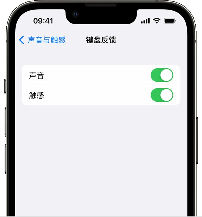 淮南苹果14维修店分享如何在 iPhone 14 机型中使用触感键盘 