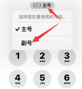 淮南苹果14维修店分享iPhone 14 Pro Max使用副卡打电话的方法 