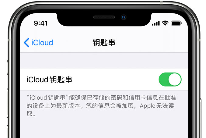 淮南苹果手机维修分享在 iPhone 上开启 iCloud 钥匙串之后会储存哪些信息 