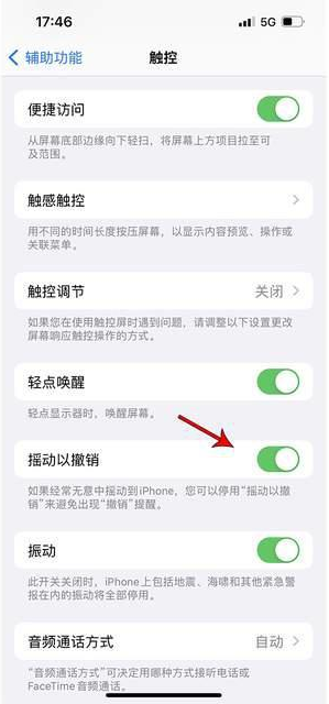 淮南苹果手机维修分享iPhone手机如何设置摇一摇删除文字 