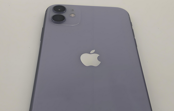 淮南苹果11系统维修分享iPhone11手机系统崩溃无法开机如何解决 