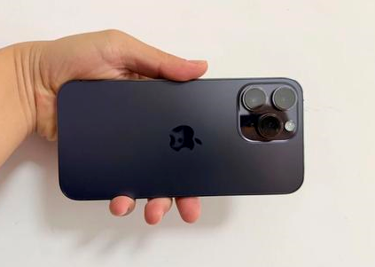 淮南苹果维修点分享iPhone 14 Pro Max黑屏少见故障盘点 